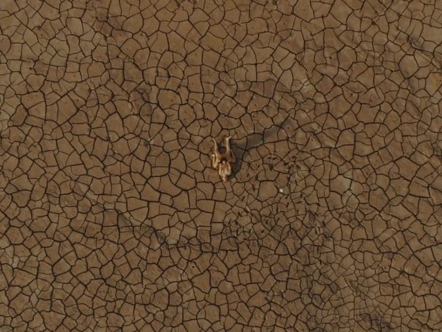 Usted Señalemelo · Aguetas · 12